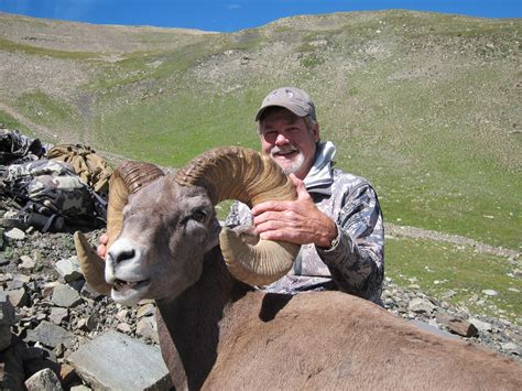 The West Ward hunters in the West Ward region made the kill in 1998. . Colorado bighorn sheep hunt